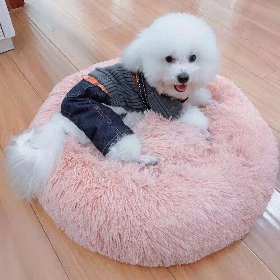 Calming Dog Bed – Cosy Comfort