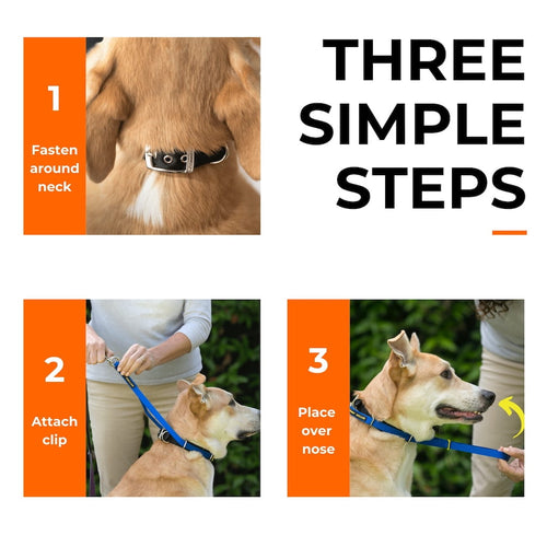 Canny Collar – No-Pull Dog Headcollar