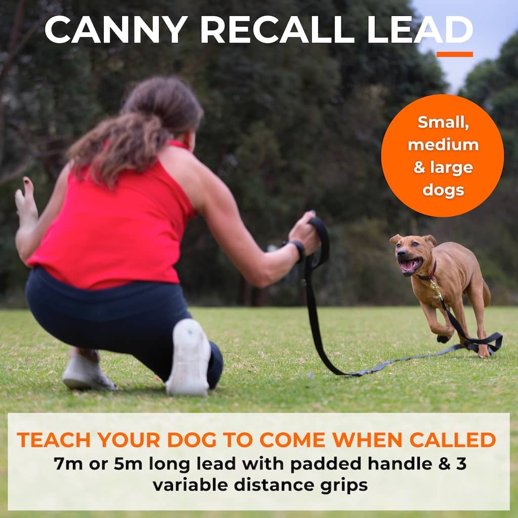 Canny Long Training Line – Recall Lead