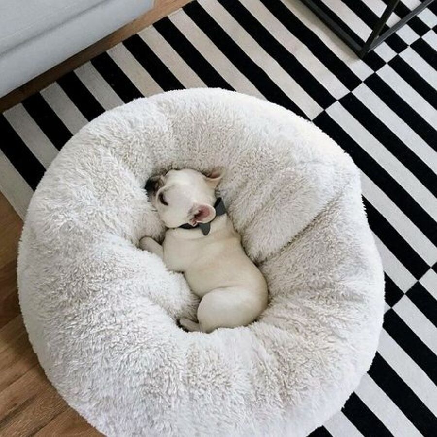 Calming Dog Bed – Cosy Comfort