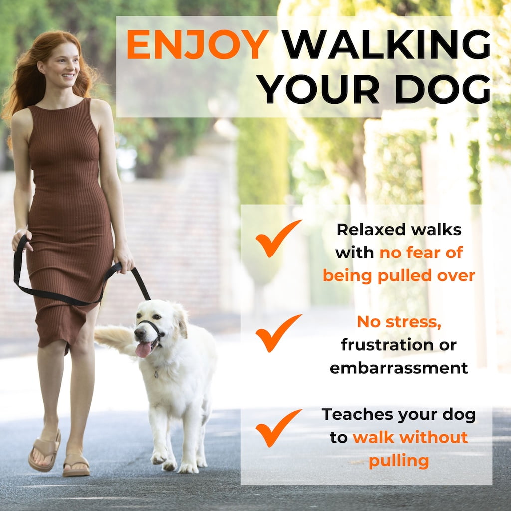 Canny Collar – No-Pull Dog Headcollar