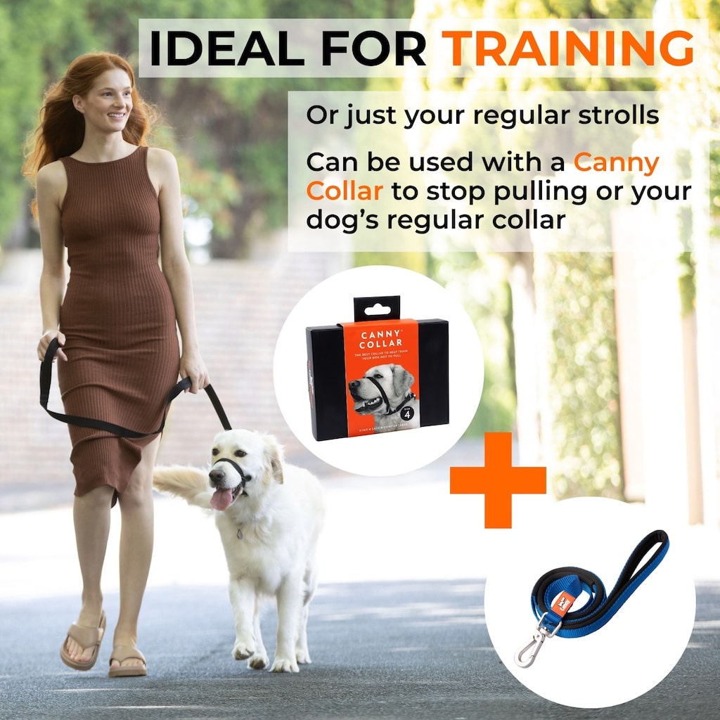 Canny Lead – Dog Training Lead