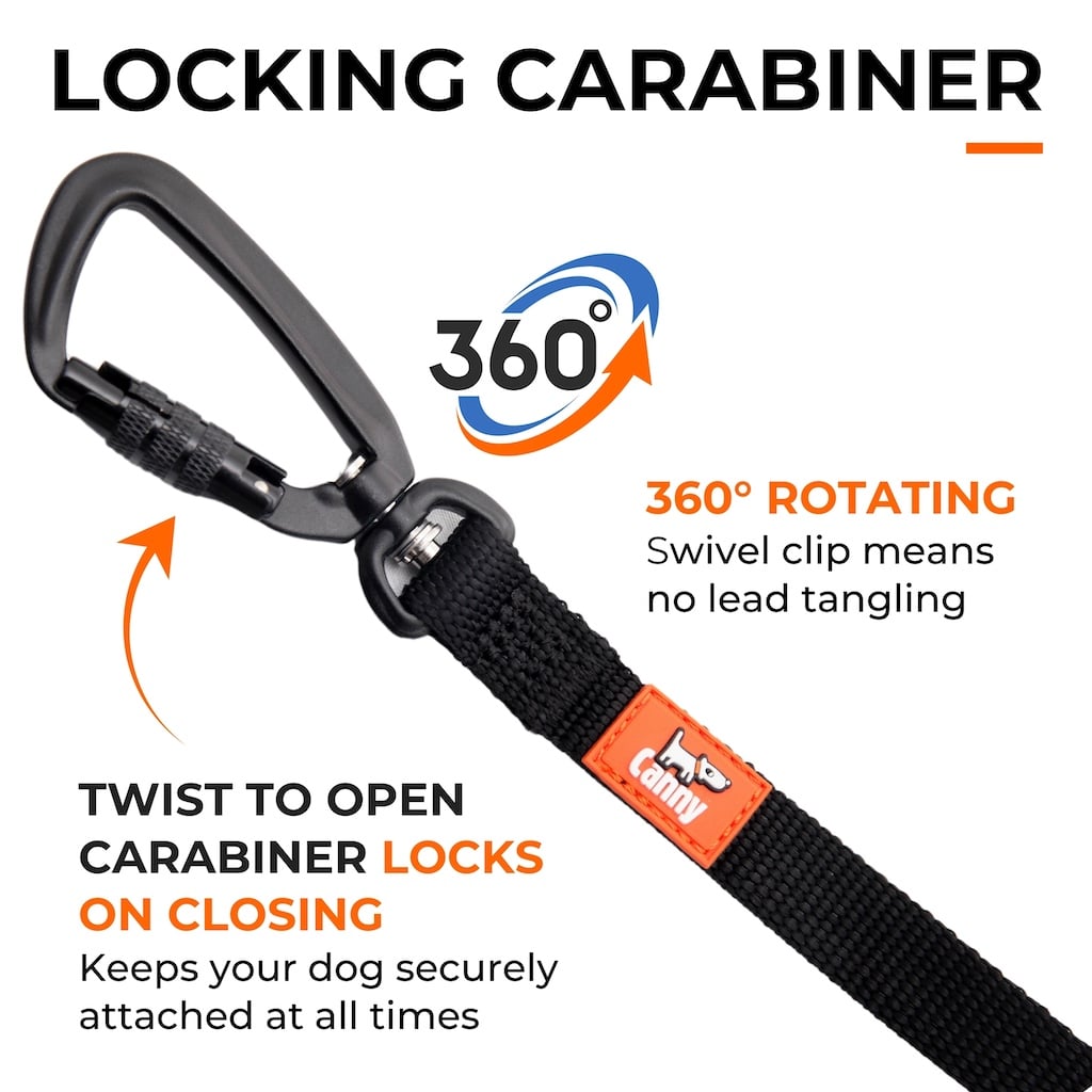 Canny Long Training Line – Recall Lead