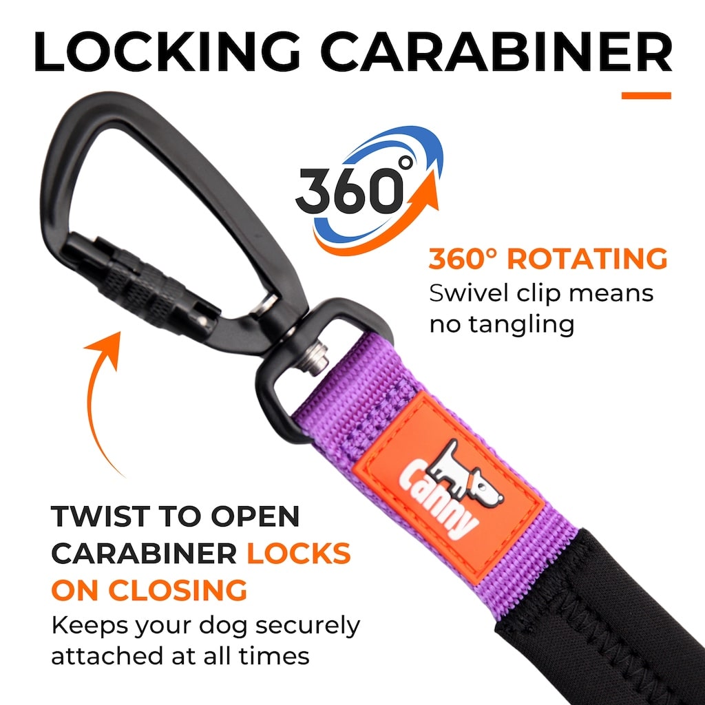 Canny Lead – Dog Training Lead