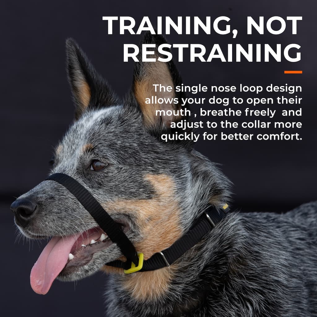 Canny Collar – No-Pull Dog Headcollar