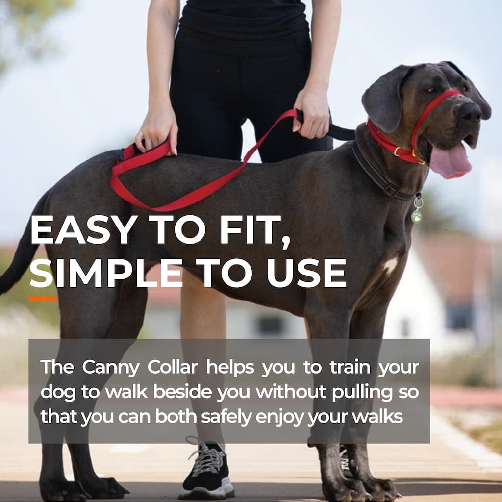 Canny Collar – No-Pull Dog Headcollar