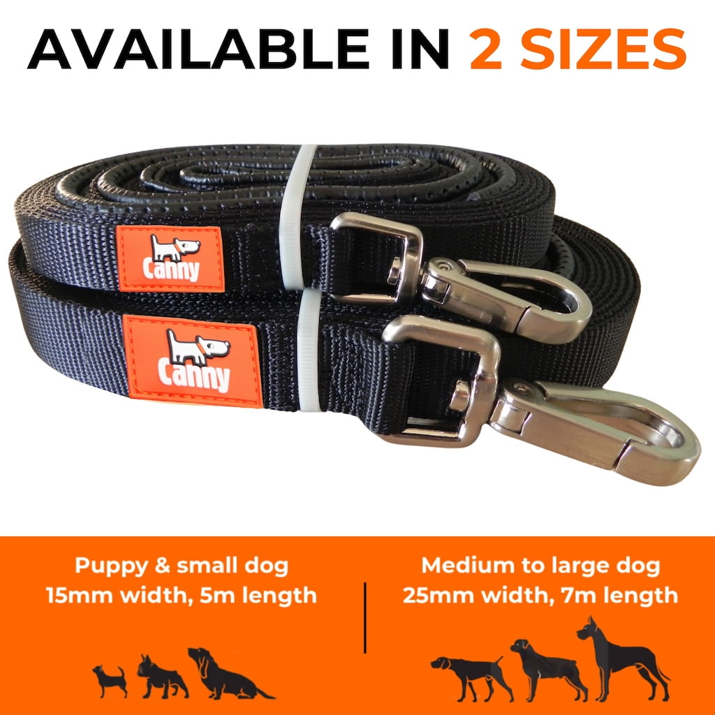 Canny Long Training Line – Recall Lead