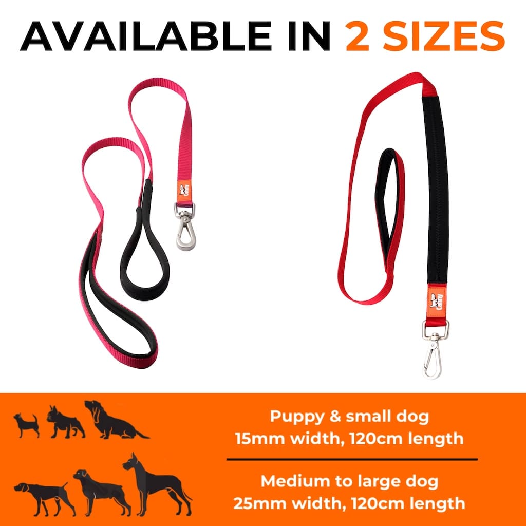 Canny Lead – Dog Training Lead