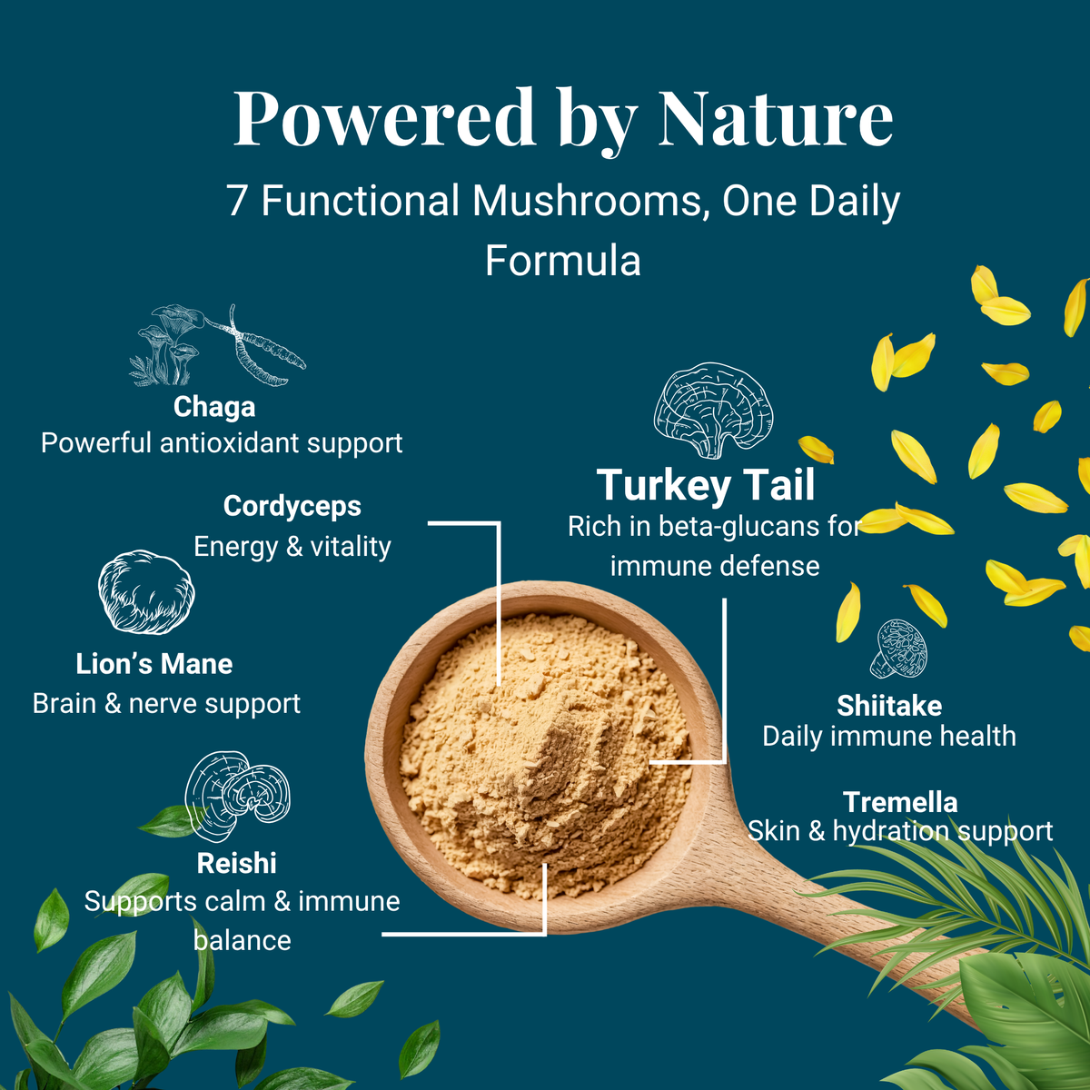 Kindly Tail Vital 7 Organic Mushroom Blend for Dogs & Cats