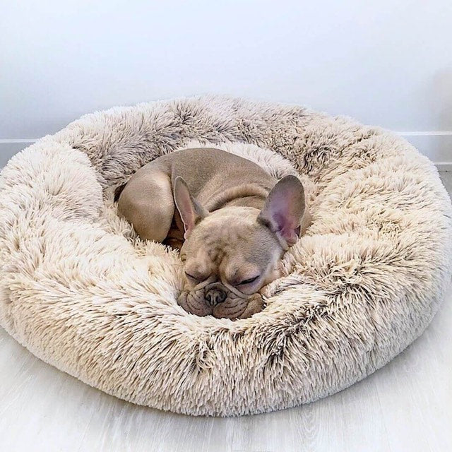 Calming Dog Bed – Cosy Comfort