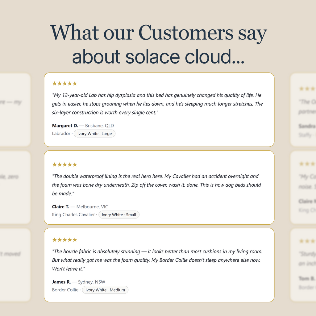 The Solace Cloud Dog Bed by CloudPaws
