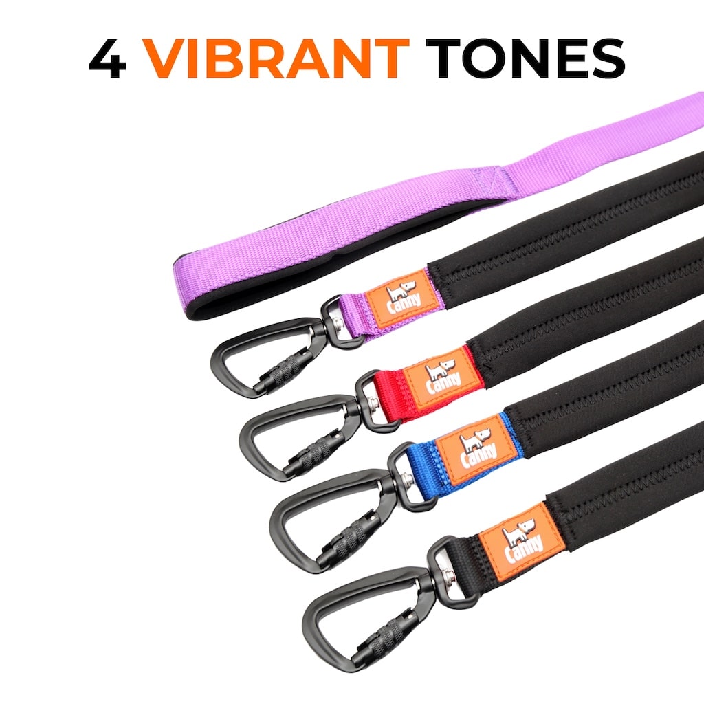 Canny Lead – Dog Training Lead