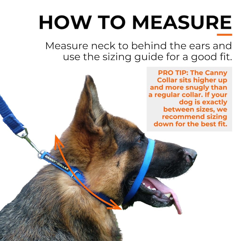 Canny Collar – No-Pull Dog Headcollar