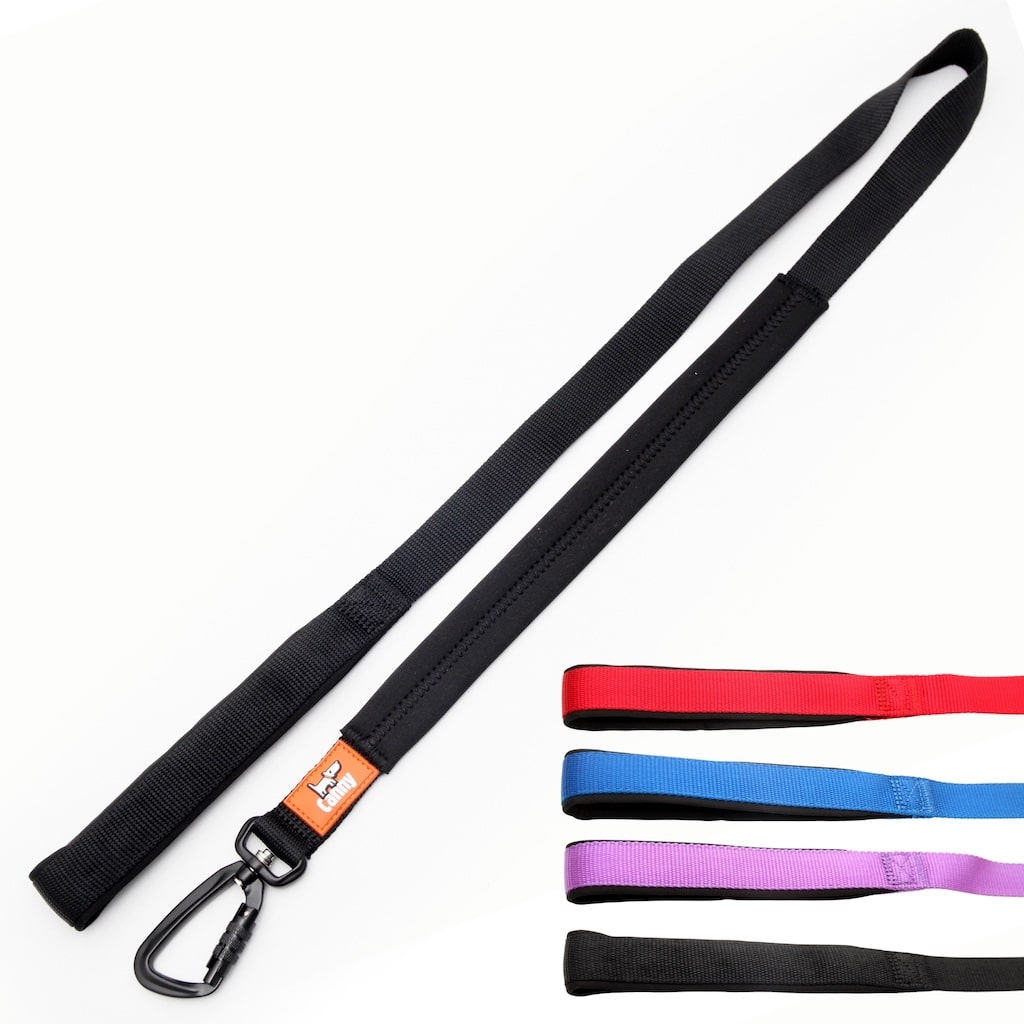 Canny Lead – Dog Training Lead
