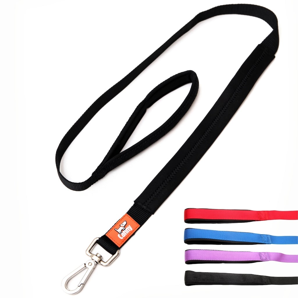 Canny Lead – Dog Training Lead