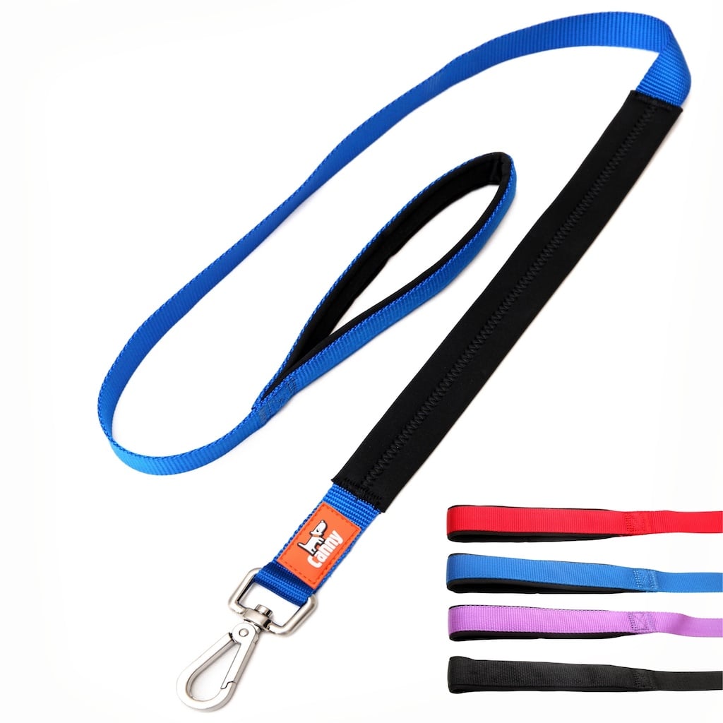 Canny Lead – Dog Training Lead