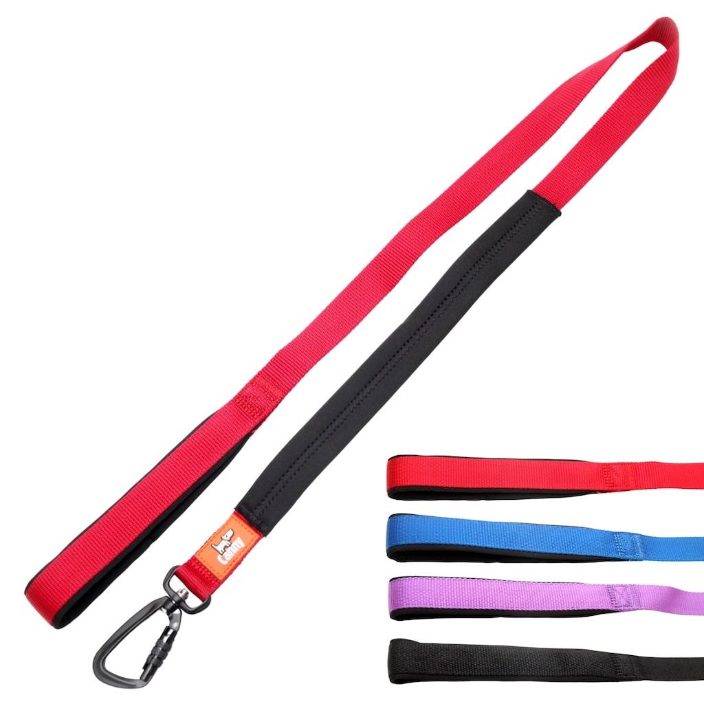 Canny Lead – Dog Training Lead