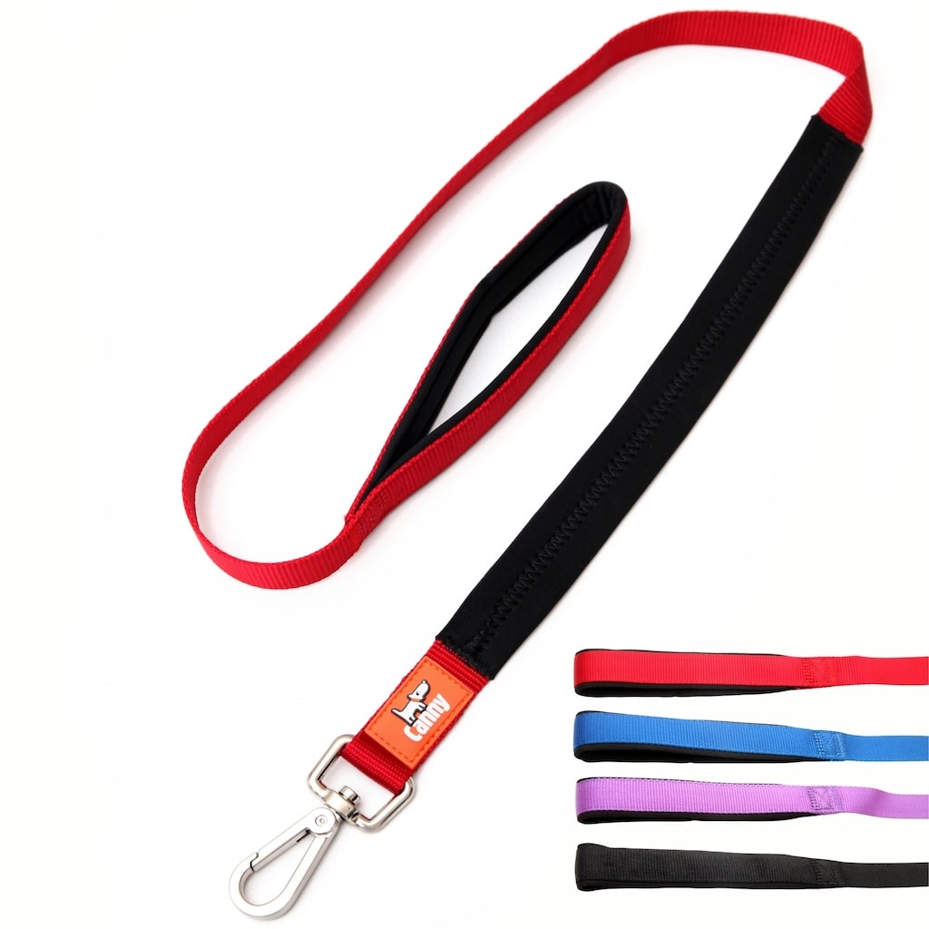 Canny Lead – Dog Training Lead