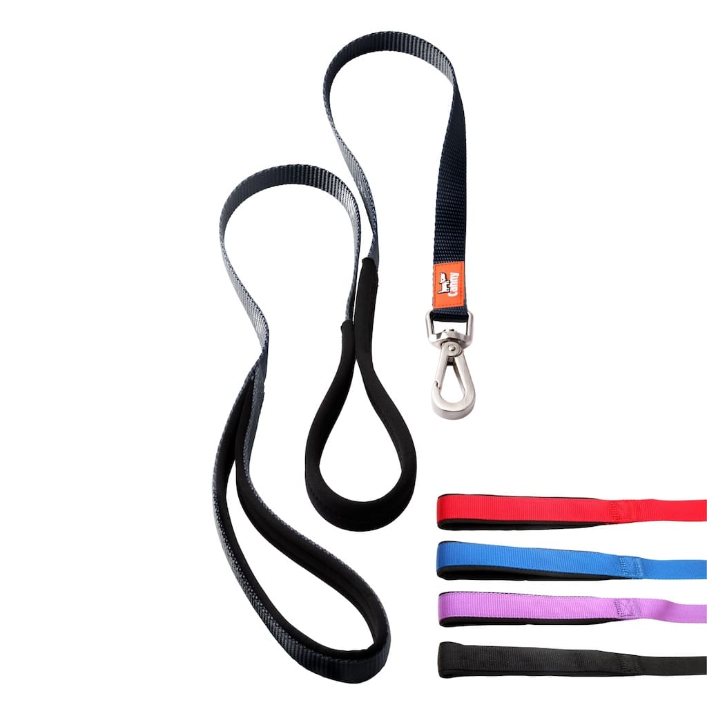 Canny Lead – Dog Training Lead