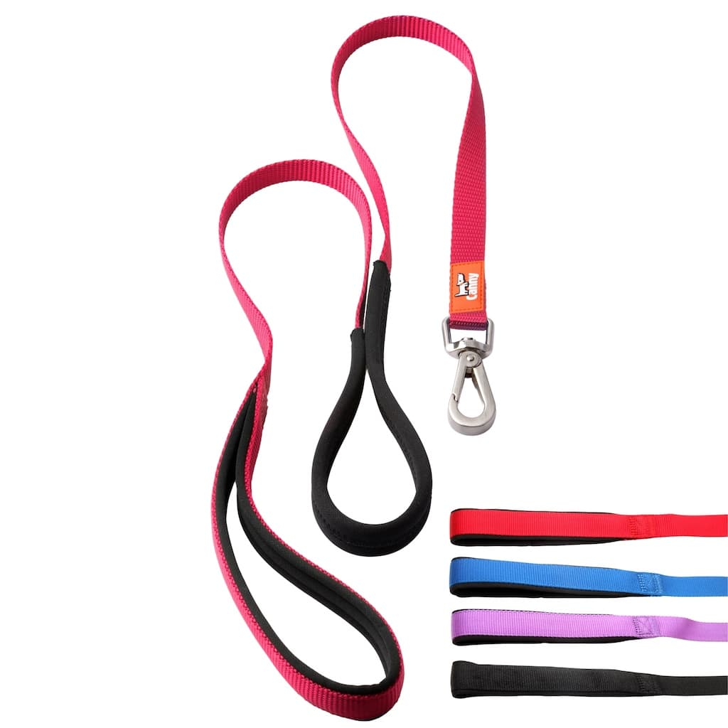 Canny Lead – Dog Training Lead