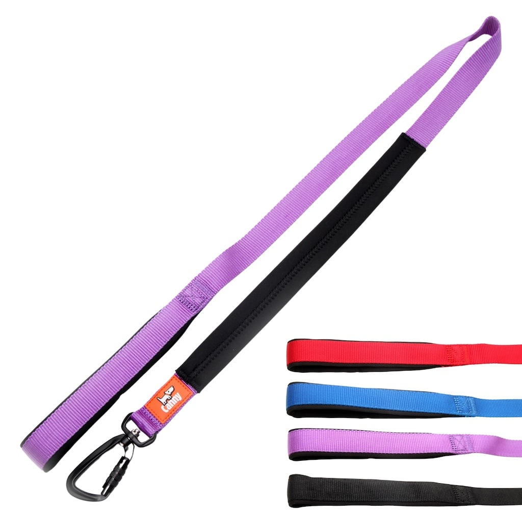 Canny Lead – Dog Training Lead