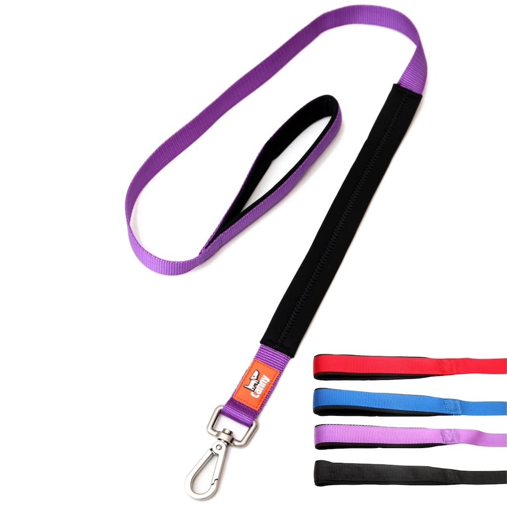 Canny Lead – Dog Training Lead