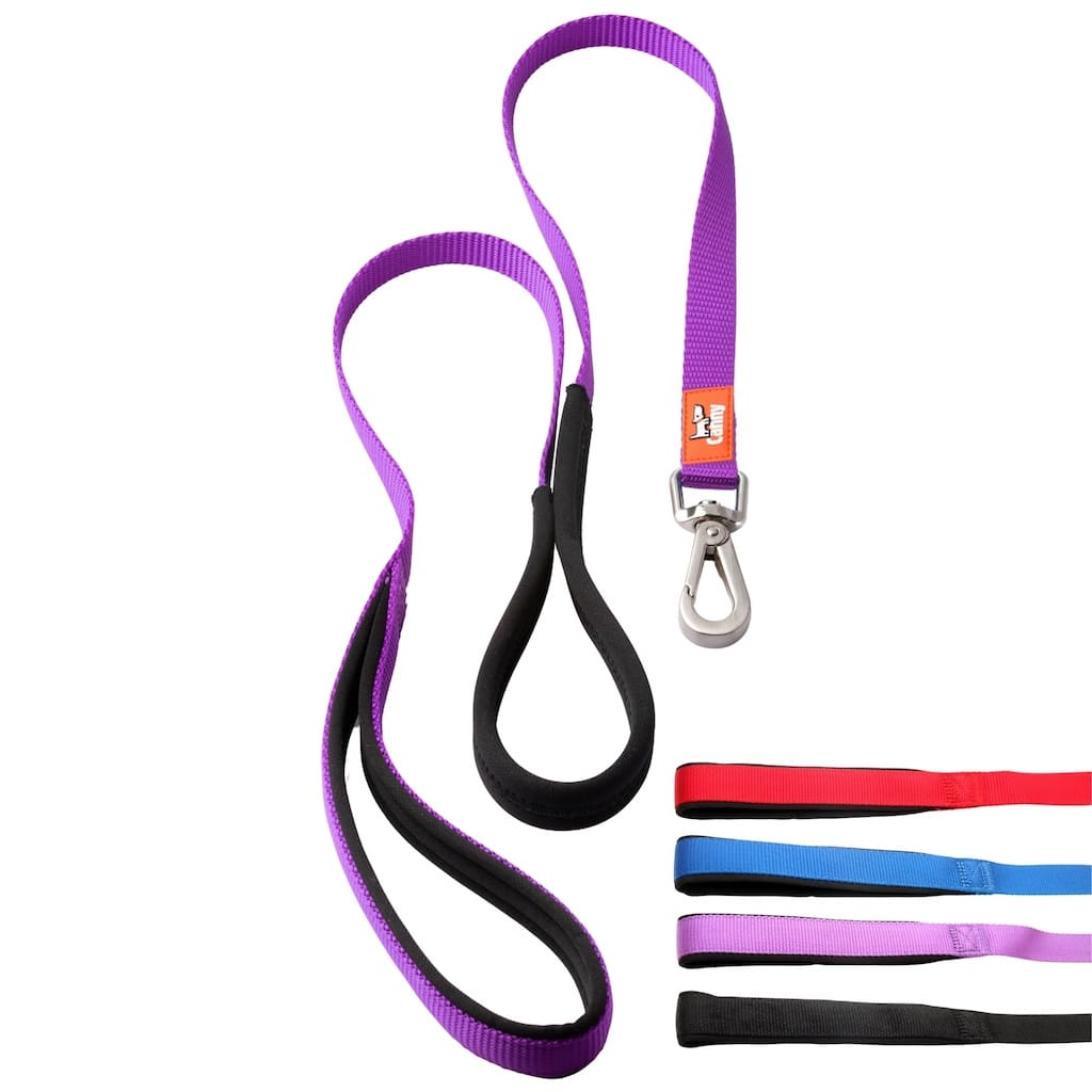 Canny Lead – Dog Training Lead