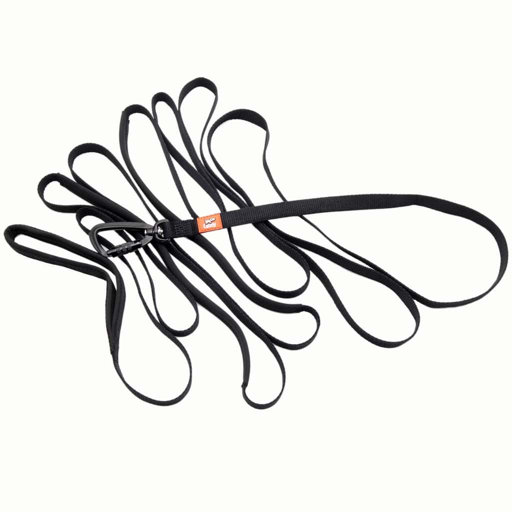 Canny Long Training Line – Recall Lead