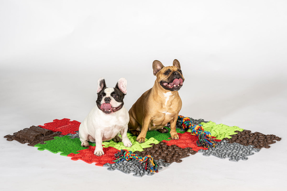 Pets Textured Set