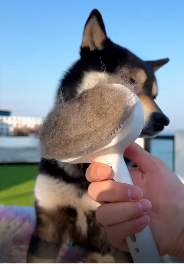 Pups Furry Dog Grooming Brush