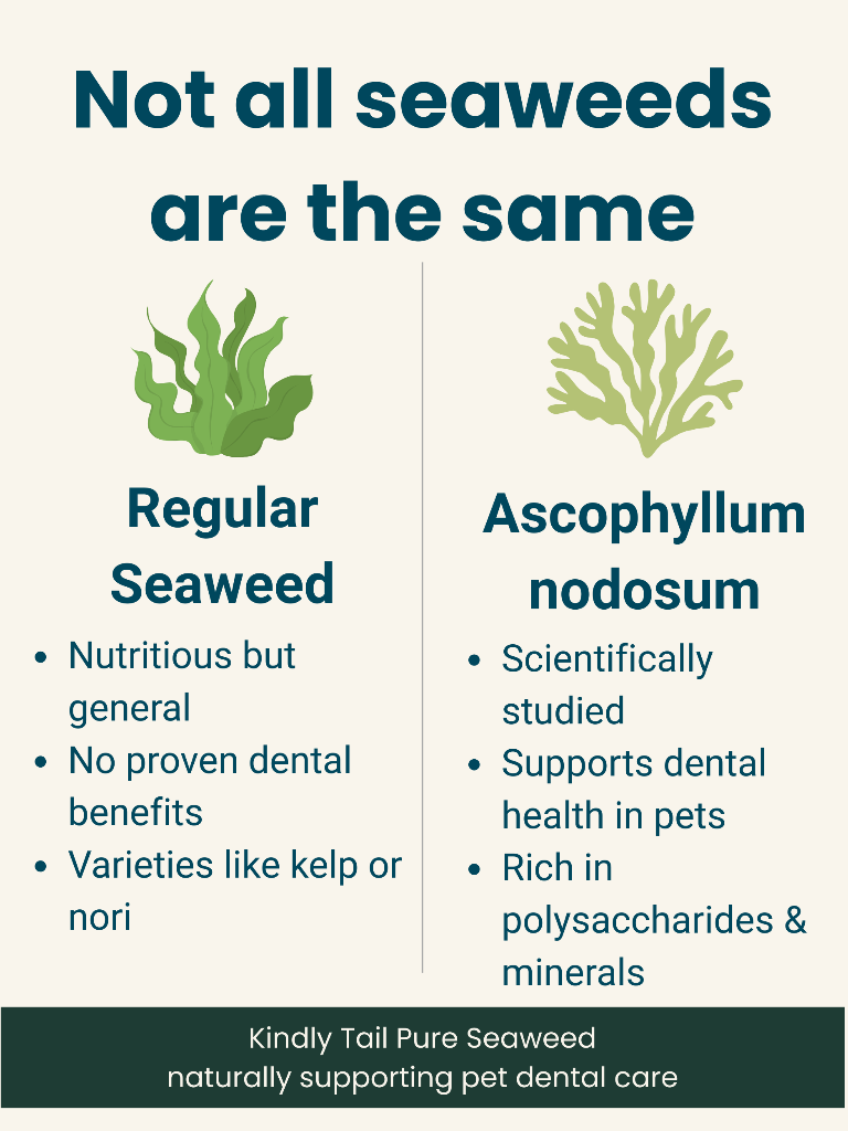 Kindly Tail Pure Seaweed Dental Powder for Dogs & Cats