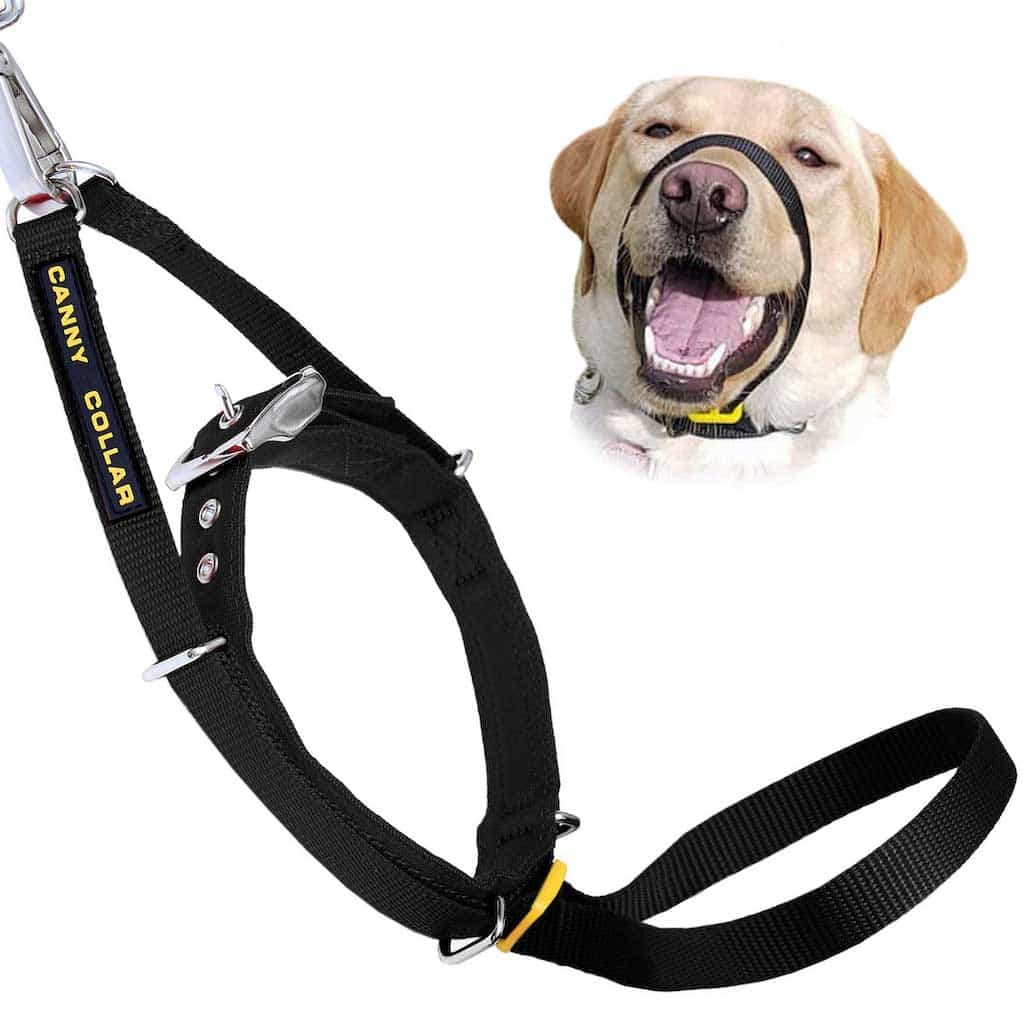 Canny Collar – No-Pull Dog Headcollar