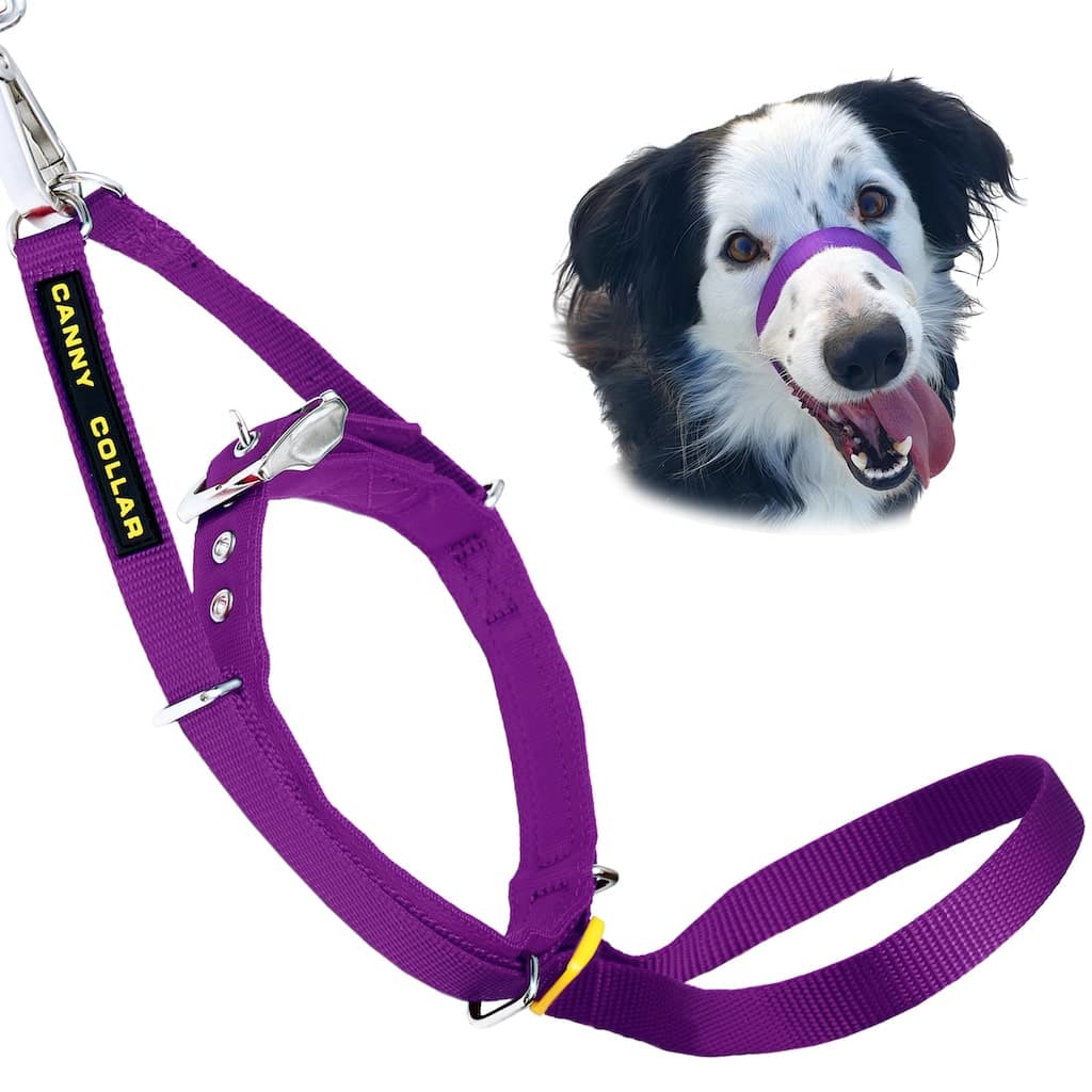 Canny Collar – No-Pull Dog Headcollar
