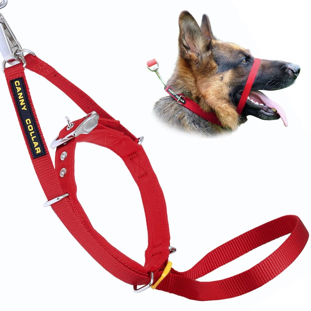 Canny Collar – No-Pull Dog Headcollar
