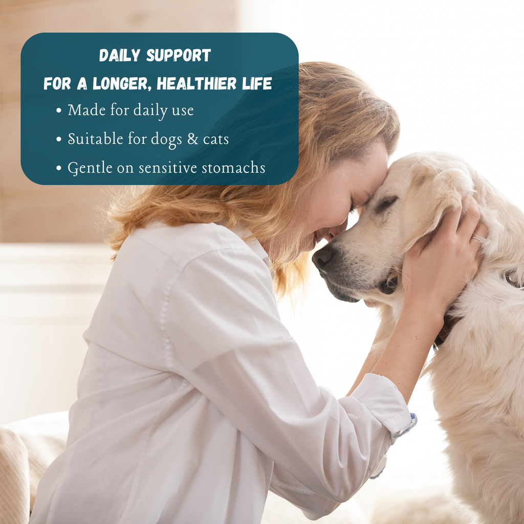 Kindly Tail Vital 7 Organic Mushroom Blend for Dogs & Cats