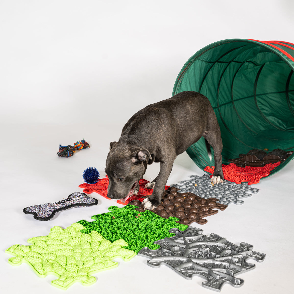 Pets Textured Set