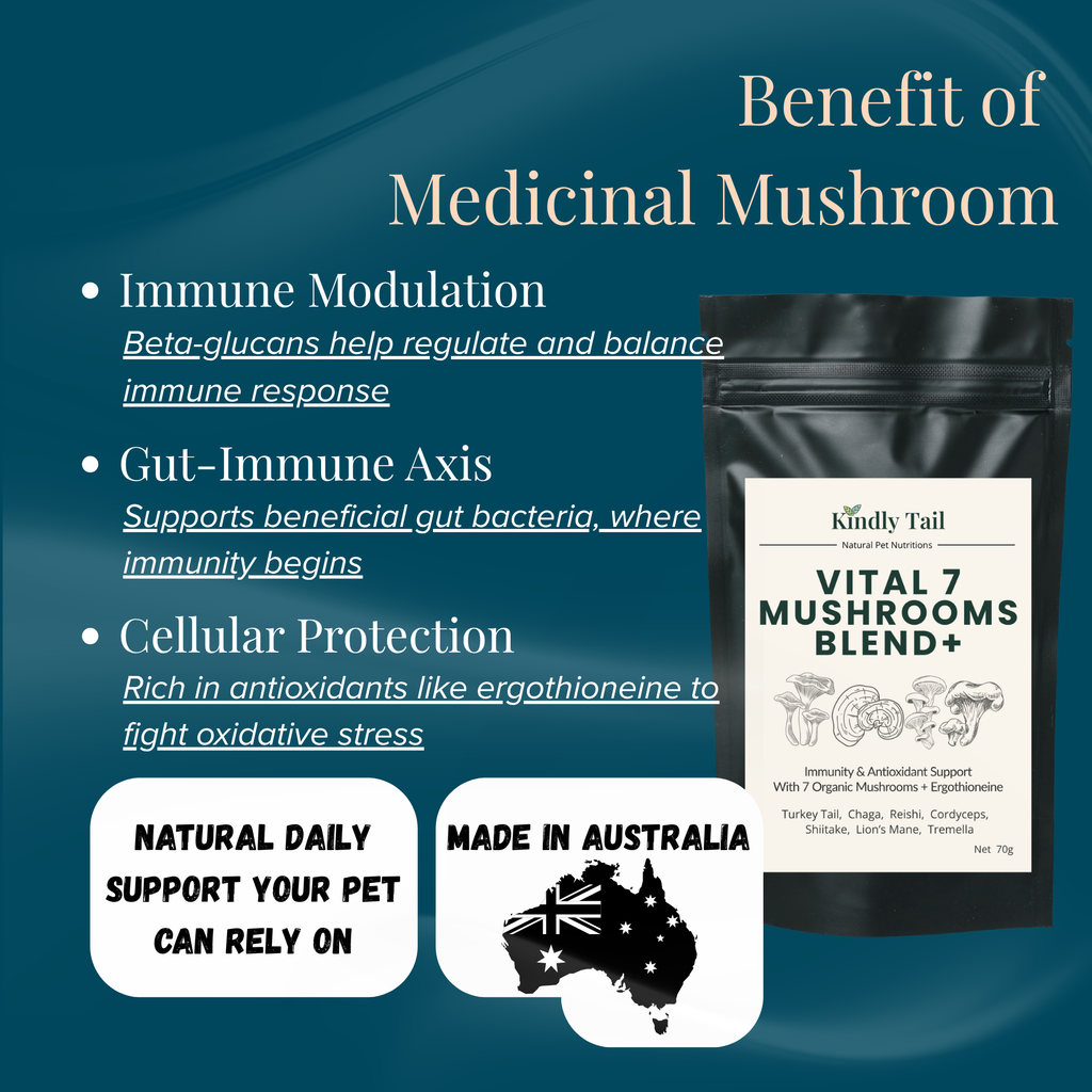 Kindly Tail Vital 7 Organic Mushroom Blend for Dogs & Cats