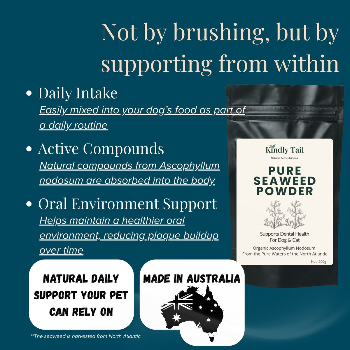 Kindly Tail Pure Seaweed Dental Powder for Dogs & Cats