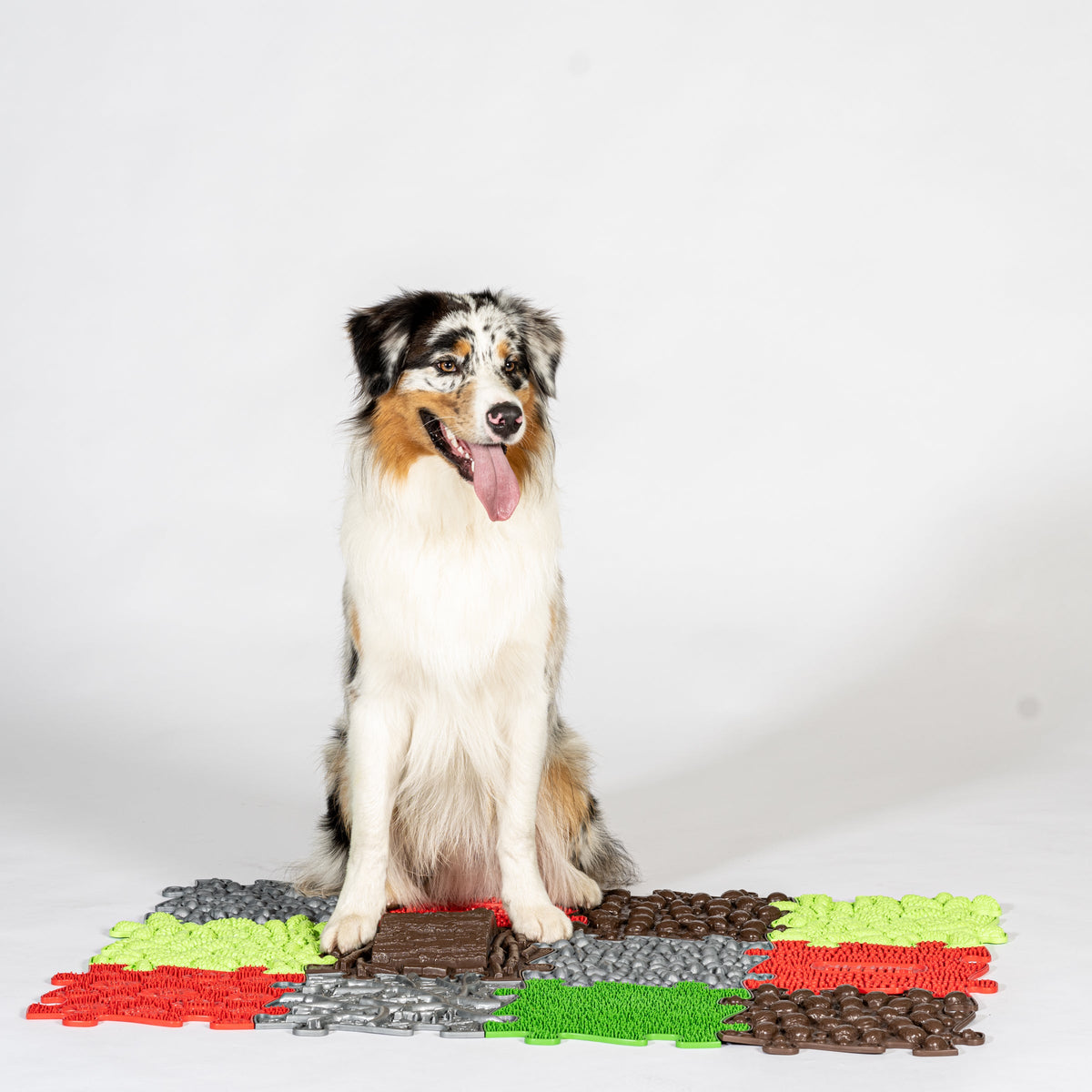 Pets Textured Set