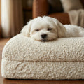 The Solace Cloud Dog Bed by CloudPaws
