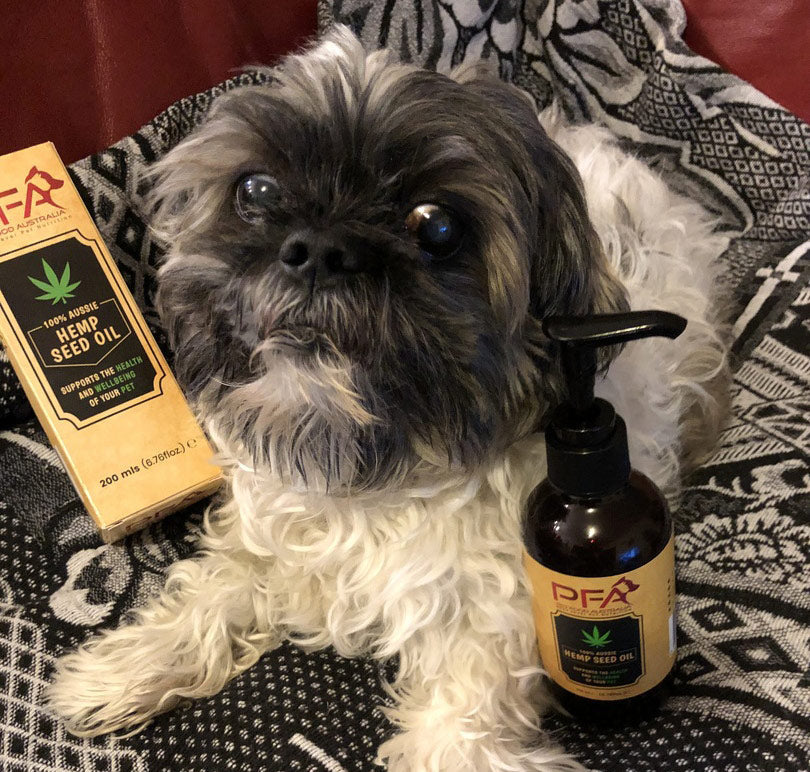 Hemp Seed Oil for Dogs – 200mL
