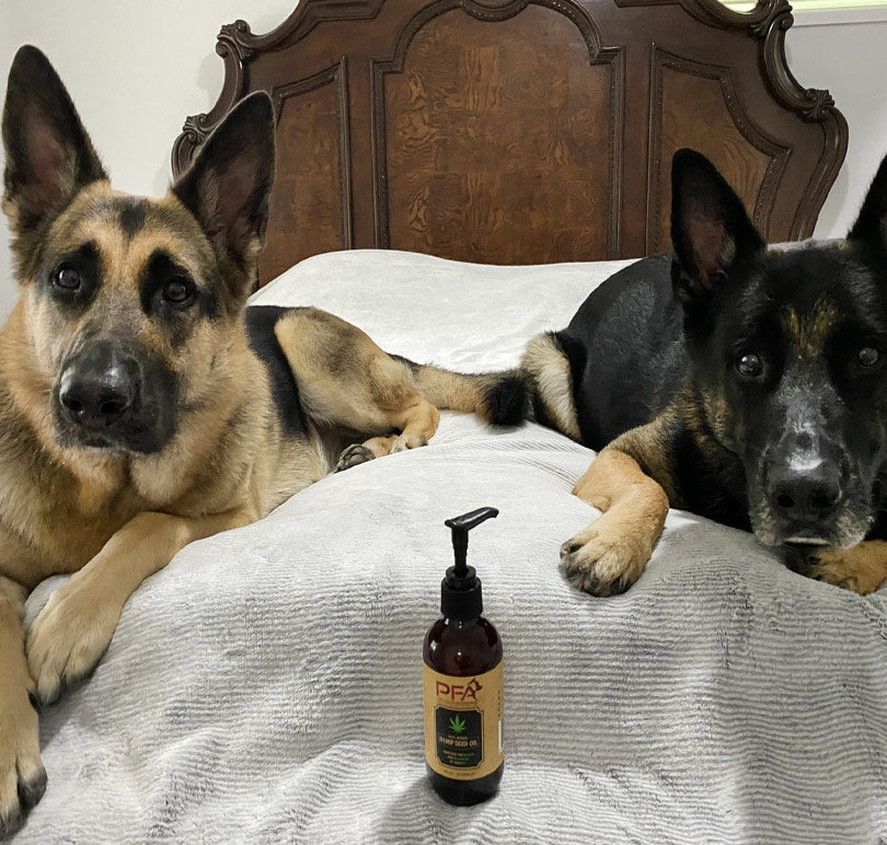 Hemp Seed Oil for Dogs – 200mL